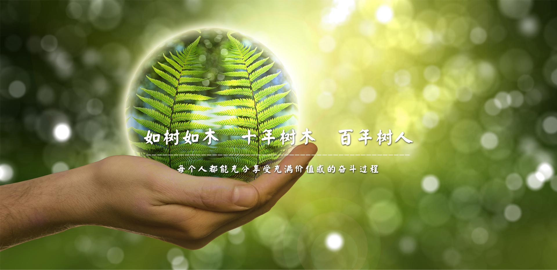 樹人文化